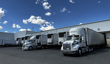 Quality Custom Distribution